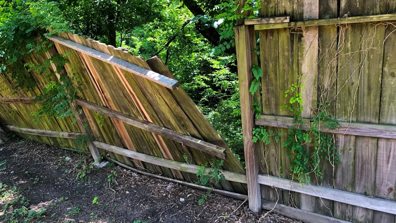 An old wooden fence ready to be dismantled and hauled away.