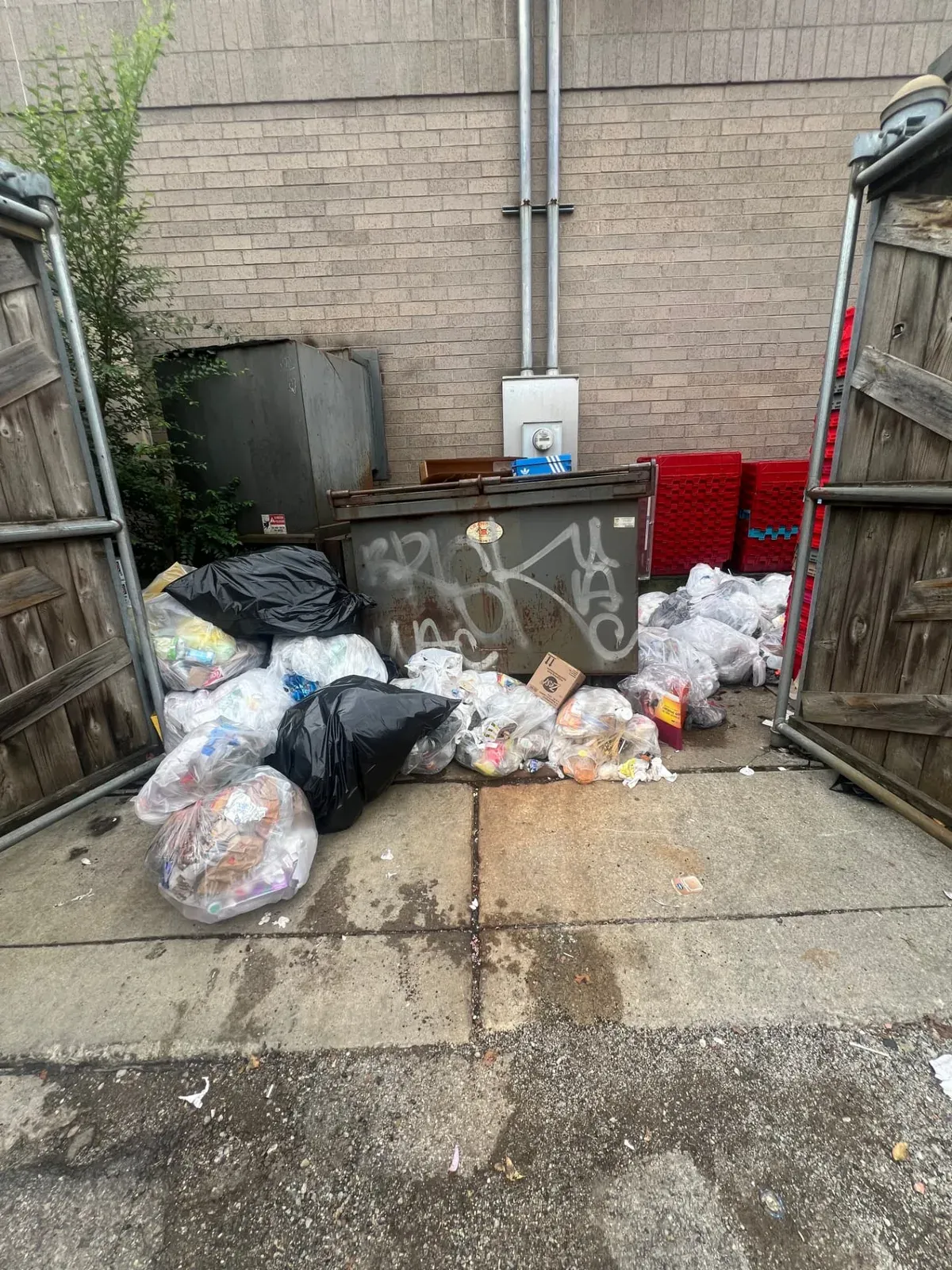 An overflowing commercial dumpster enclosure with bagged waste piled on the pavement behind a business.