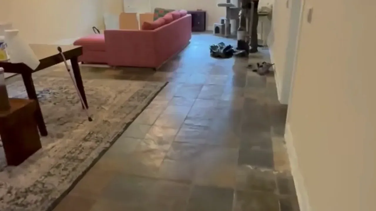 The Junk Jaws crew clearing out a Chicago house.